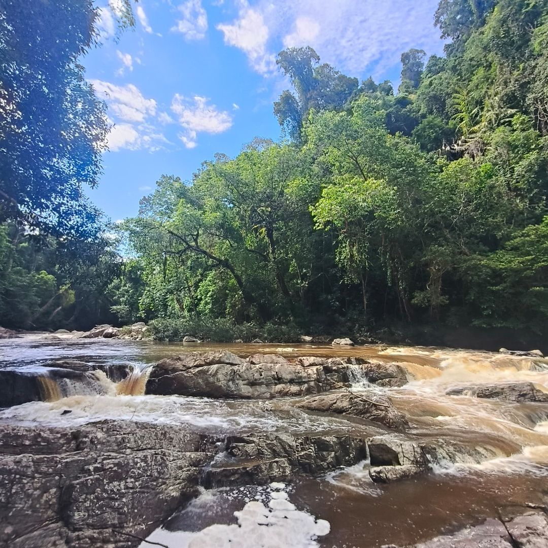 Taman Negara, Pahang